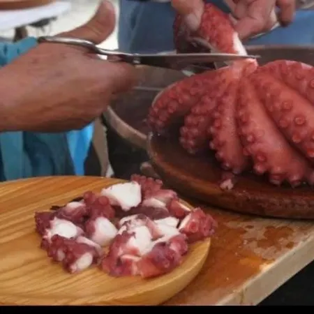 Pretty Progreso Apartment *